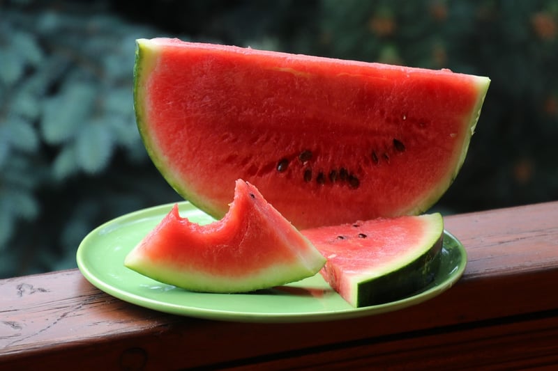 Fresh and Fit